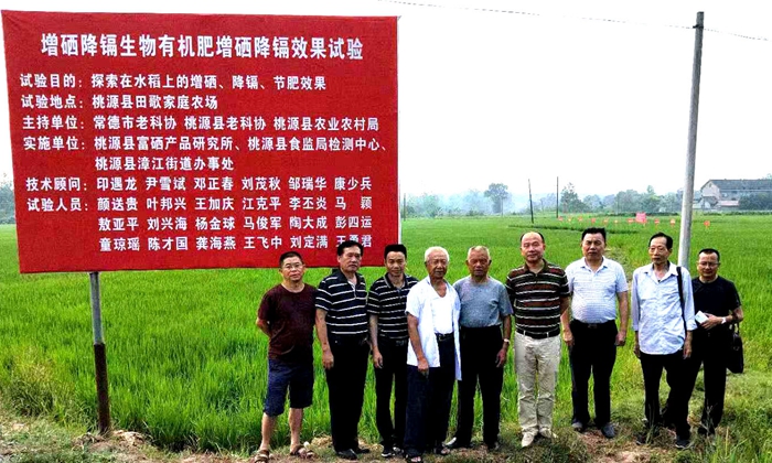 縣領(lǐng)導觀摩考察“富硒降鎘生物有機肥增硒降鎘效果試驗”項目